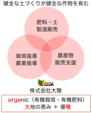 ogaconcept